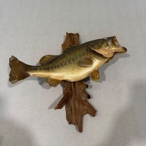 Largemouth Bass Taxidermy Wall Mount Large Green Driftwood Rustic‎ Lodge Vintage